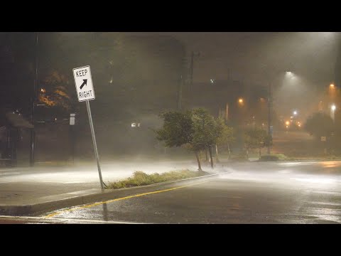 Fall Asleep Fast With Terrible Hurricane, Torrential Rain & Thunder Sound in the City at Night