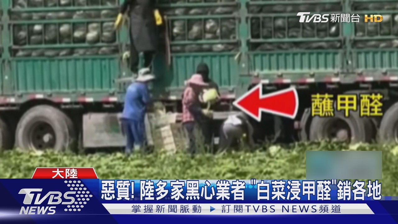 影音/大陸爆「甲醛毒白菜」!浸致癌物延長保鮮 南韓急追查流向