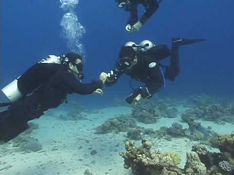 (5thD-X) Essentials Of Technical Diving (9 failures Introduction)