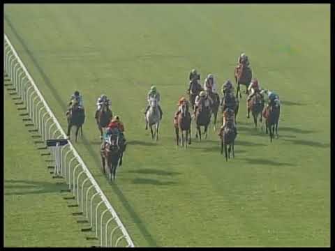 2017-12-09 Race 2(0072) - JAPAN RACING ASSOCIATION TROPHY