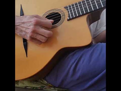 Moustache Thijs Van der Harst   Guitar image 13