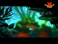 For A Harmonious Ecosphere Avatar FernGully The Last Rainforest Dances With Wol