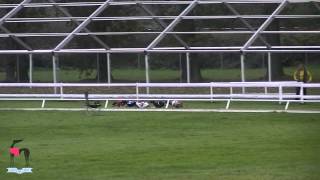 preview picture of video 'Mistrovství Čech 2014, Mladá Boleslav 05.10.2014 - Whippet male FINAL A'