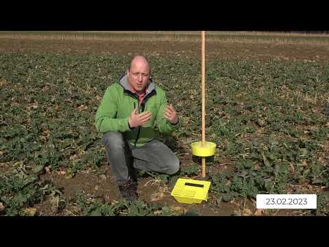 Pflanzenbau Aktuell - 23.02.2023