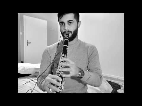Mitko Angelov LIVE - Cover Horo Boris Bocata
