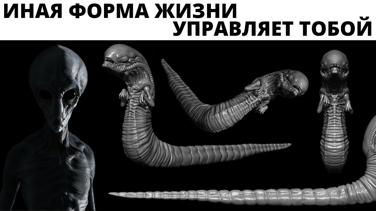 Что за твари захватили планету и какие у них планы?