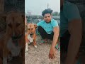 Single Boy Fanny Video Short Viralvideo Youtubeshorts Comedy Fannycomedy Status Bhojpuri