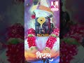 Animesh Thakur Vitthal Aawadi Status Shorts Aashadhi Ekadashi Whatsapp Status 2021