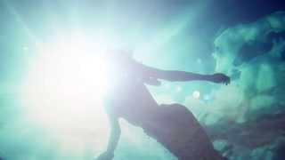 Cover art for 猿の手柄