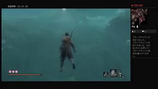 【初見】遅ればせながらSEKIRO、頑張る : 11 【SEKIRO】
