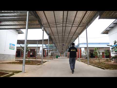 Liuyang champion fireworks factory