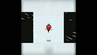 Chris Rivers - Birds Instrumental