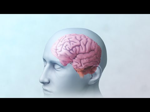 Mental Health: How the Brain Works