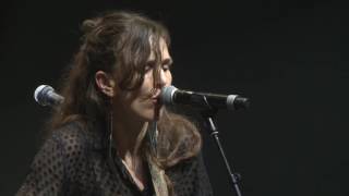 Oystercatcher (Steve Abel and all star band) perform Give Up Your Dreams by The Phoenix Foundation