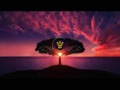 Ricky - Tunez 187 X Serio 2x