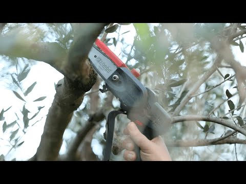 Zanon ZP 100 Μίνι Αλυσοπρίονο μπαταρίας 10cm 21V 8