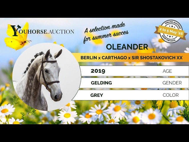 Oleander showvideo