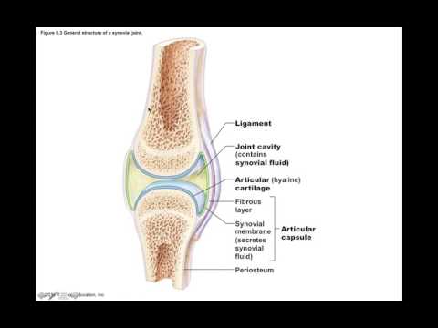 Medicamente bursita genunchiului
