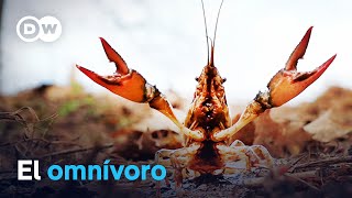 Thumbnail del capítulo