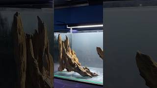 Download lagu Scaping with Rentek woods | Nickz Aquascape mp3