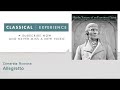 Joseph Haydn : Allegretto