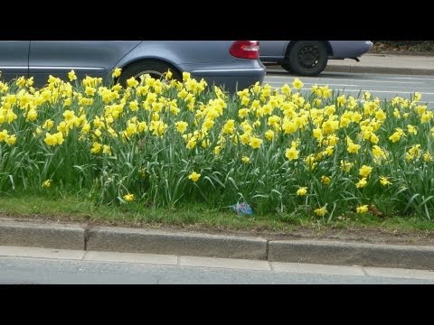 FLE - Bulmke - Erle 19  2-3