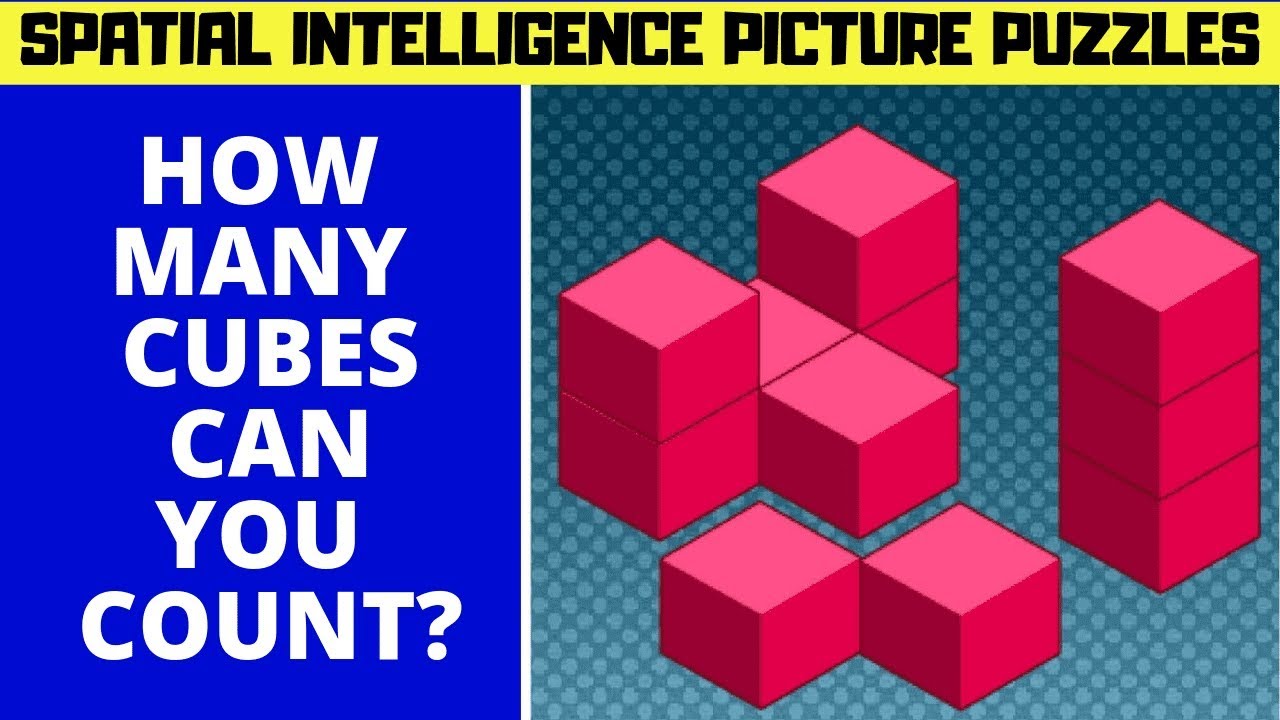 SPATIAL INTELLIGENCE #PICTURE #PUZZLES