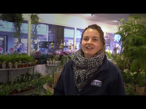 Renovatieproject winkelcentrum de Hamershof