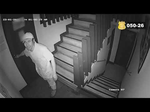 050. Sospechoso de Robo en Montes de Oca, San Pedro.