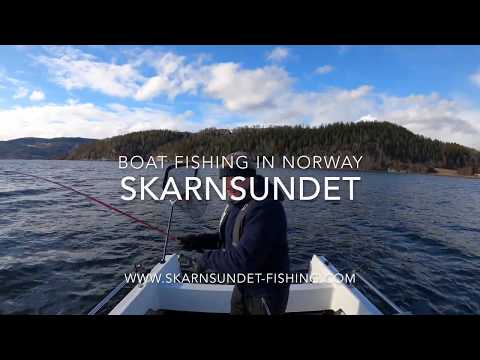 Cod Fishing In Norway