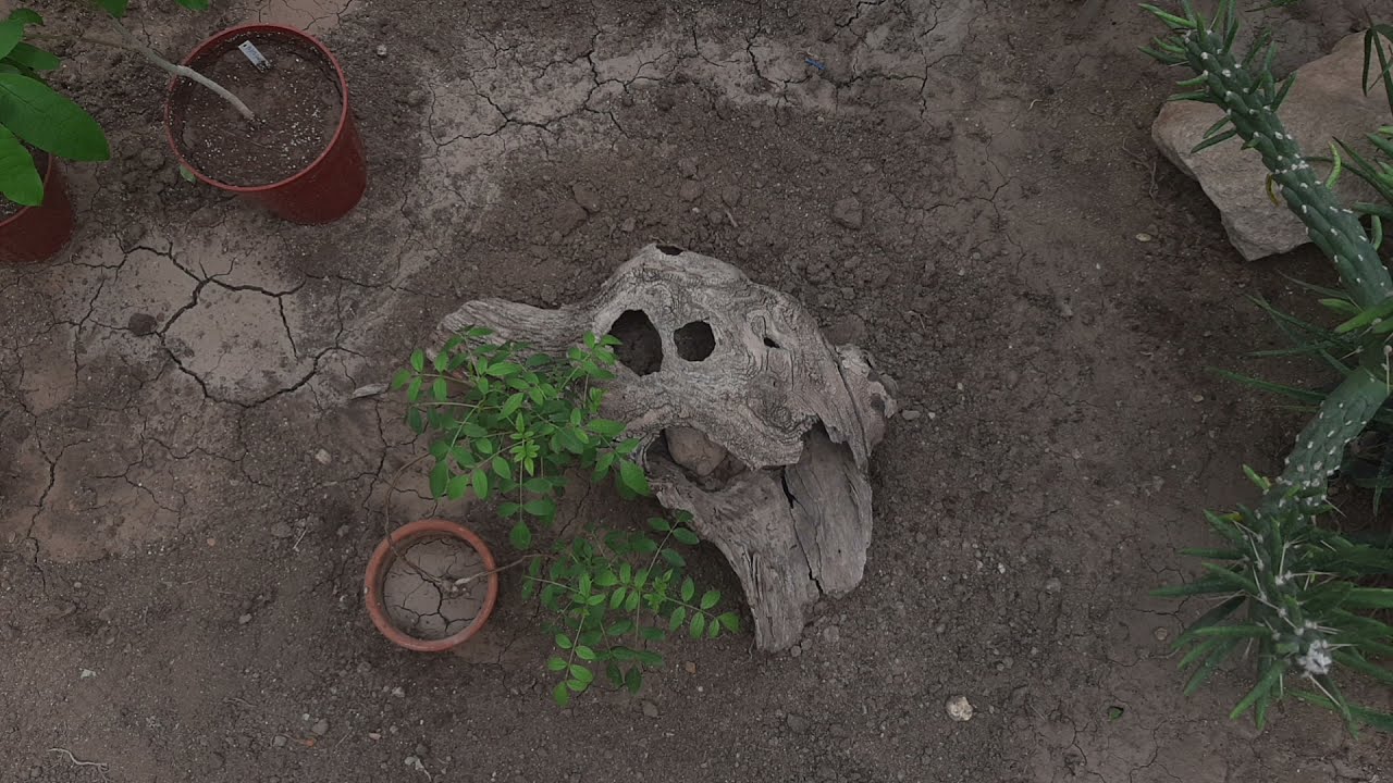 Tourist;Drifter | Feature-Length Documentary