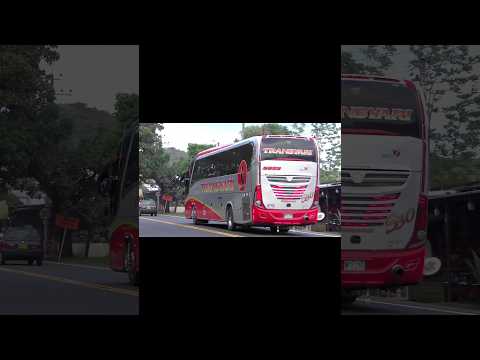 Transyari S30 Premium Plus 5023. #bus #huila #buses #caquetá #colombia