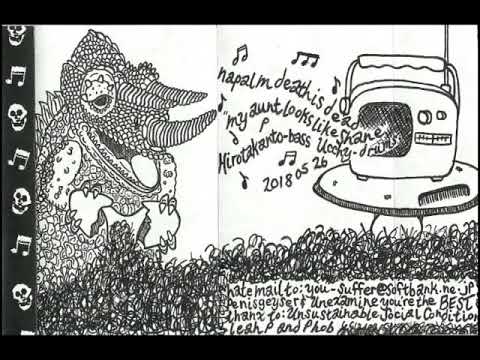 Napalm Death is Dead - My Aunt Looks Like Shane