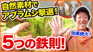 動画でご紹介