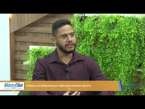 Conheça os problemas de visão mais comuns em pets 07 02 2022