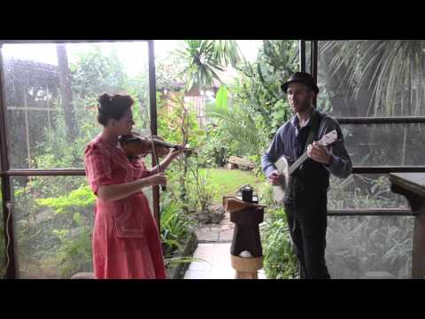 Introducing the New Flower String Band