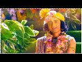 Shree Krishna Vani Status Lord Krishna Status Must Watch