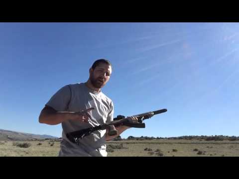 Ruger SR22 Suppressed- tactical Solutions Axiom