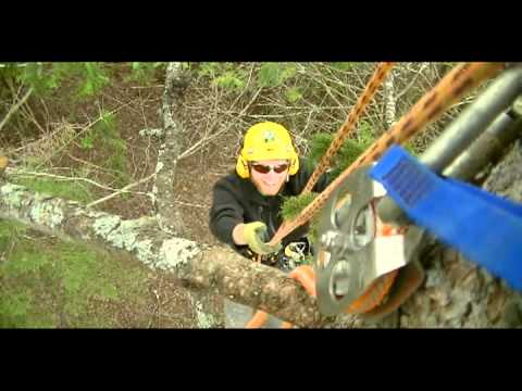 Installing a Barred Owl Nesting Box