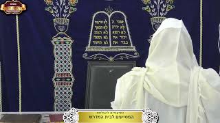 בית המדרש "תורת דוד" ¤ שידור חי ¤ י"ט טבת תשפ"ו (8.1.2026) (מוסדות תורת דוד) - התמונה מוצגת ישירות מתוך אתר האינטרנט יוטיוב. זכויות היוצרים בתמונה שייכות ליוצרה. קישור קרדיט למקור התוכן נמצא בתוך דף הסרטון