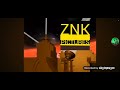ZNK Pictures Logo 2012 Happy New Year Style For Zkglobal4685