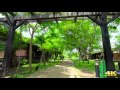 A6300 Dynamic Range Test(S-LOG3 / SUNNY DAY) - 4K VIDEO