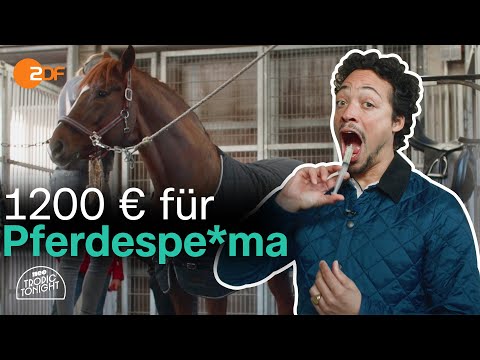 Die dunkle Seite des Reitsports: Enthüllungen eines Profi-Pferdes | Neo Tropic Tonight