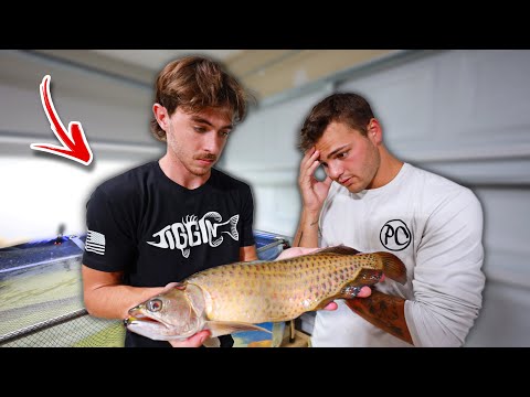 My most Expensive mistake yet...