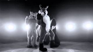 single furries
