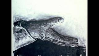 Controlled Bleeding - Letters To The Life Cycle (Part 1)