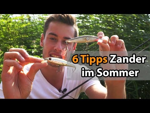 6 Tipps zum Angeln auf Zander und Barsch im Sommer mit Gummifisch und Wobbler