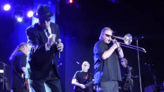 The Original Blues Brothers Band - She caught the Katy