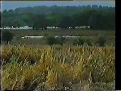 BBC2 - Continuity - Just Another Day - 40 Minutes - 1985