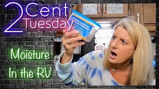 2 CENT Tuesday - Dollar Tree Moisture Eliminator - Are They Worth $1.25